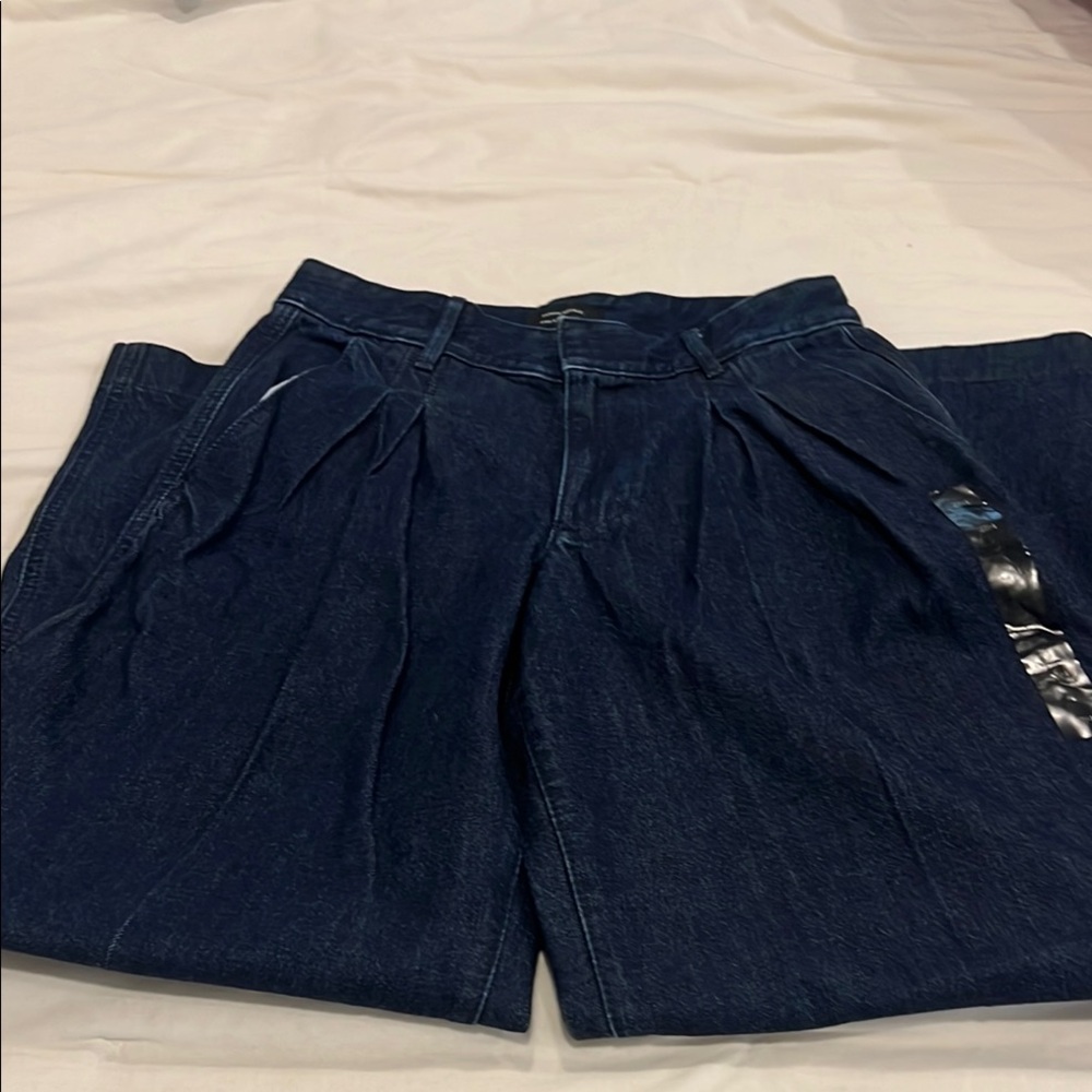 Banana Republic Pleated, wide leg trouser jeans